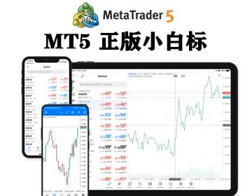 2026全新mt5搭建MT4软件系统MT5软件CRM系统搭建插件外汇白标主标crm系统-非凡技术源码资源网